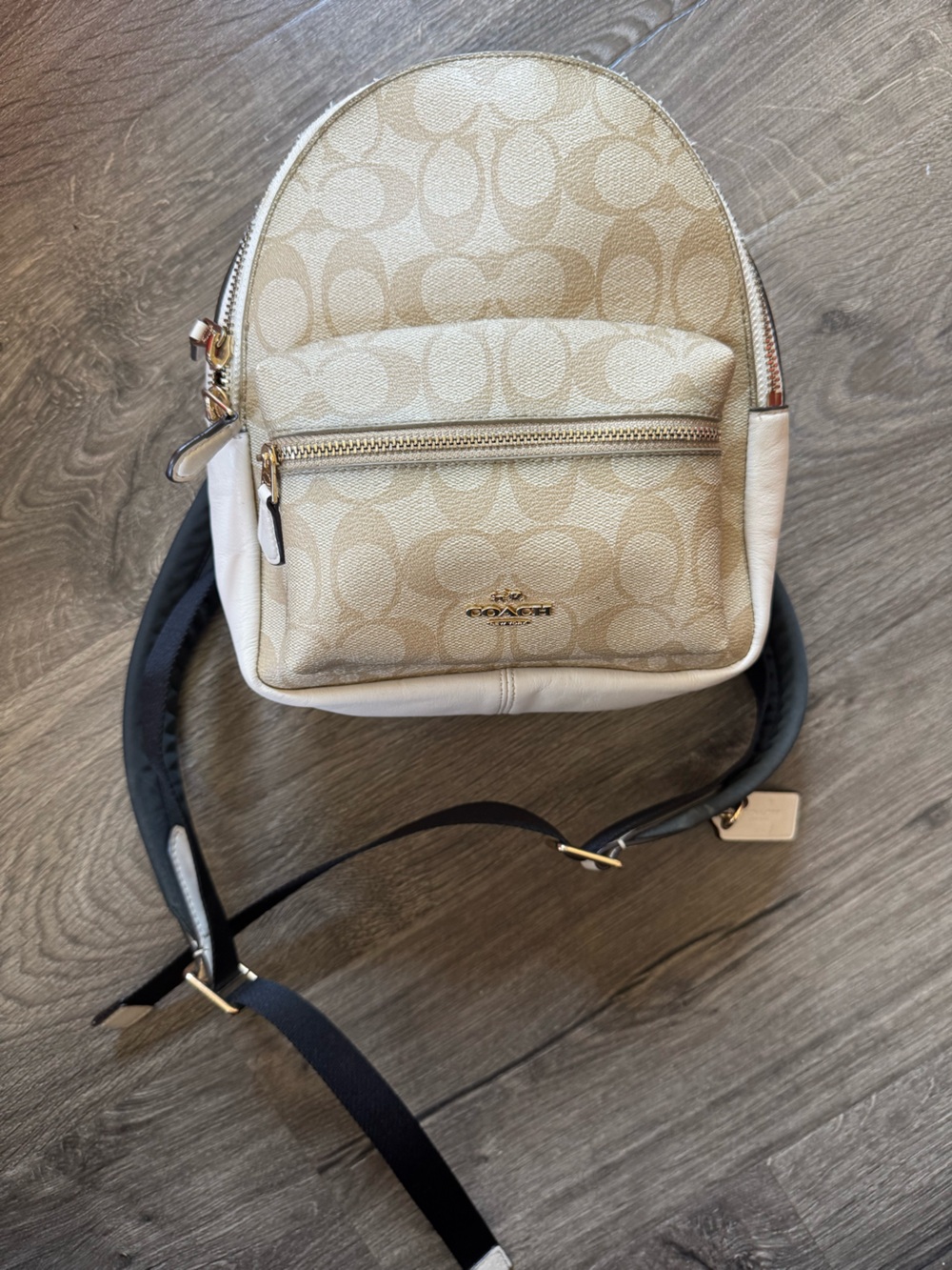 Coach Signature Canvas Mini Backpack in Chalk and Black